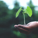 small business growth