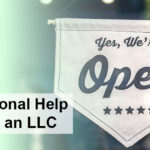 professional llc services